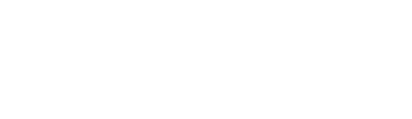 HSD Logo